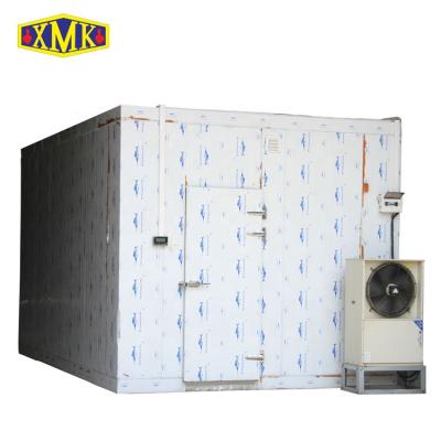 China Restaurant Blast Refrigerator Room Cold Storage Cold Room Freezer For Chicken Cheap Price for sale