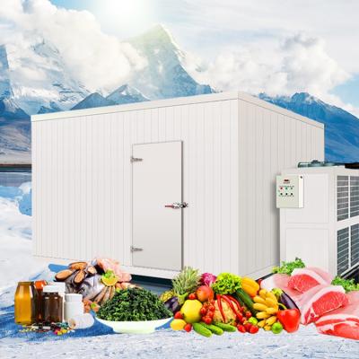 China Restaurant Cold Storage Project Cost Unit Wall Cold Room Panel Price for sale