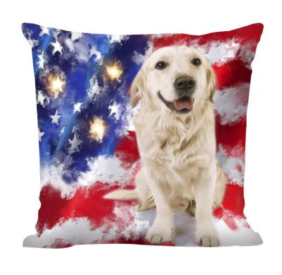 China America Viable Decorative Luxury Independence Day Day Cushion Crate Pillow Dog Design Lighted Cover Pillow for sale