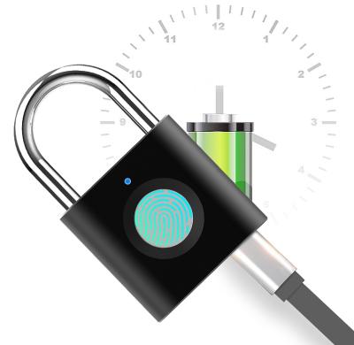 China Bag & Cabinet New Design Smart Fingerprint Padlock For Traveling Bag for sale