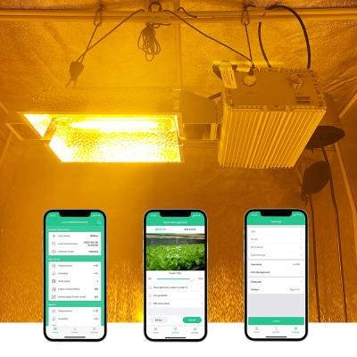 China Seed Starting Hydroponic Greenhouse Plant 1000W Ballast Double End HPS HPS Grow Lamp For Indoor Plants for sale