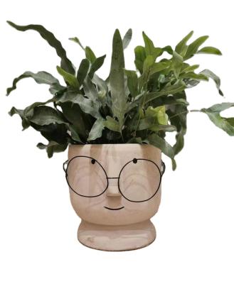 China Customized Factory Wholesale Europe Stand Flower Pot Garden Handicarfs Bonsia For Sale for sale