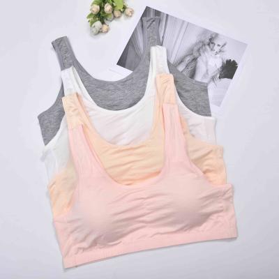 China Hot Sale 4XL Sports Antibacterial Seamless Single Bra In Plus Size Underwear Breathable Padded Bras For Women for sale