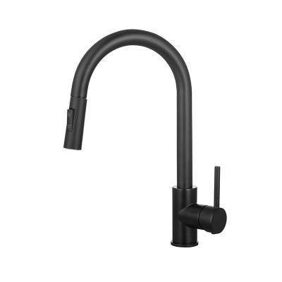 China 304 Stainless Steel Modern Pull Out Kitchen Faucet Kitchen Sink Faucets for sale