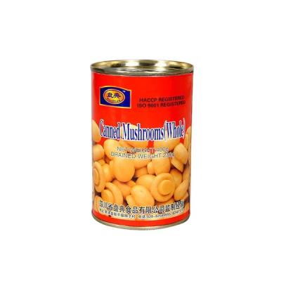 China China Canned Wholesale Products Canned Mushrooms for sale