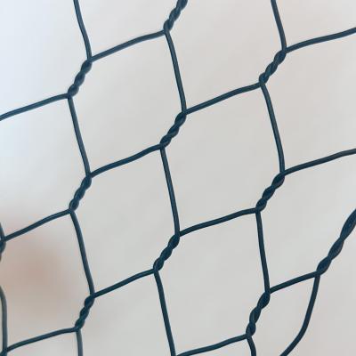 China Special Gabion Ball Blue Soccer Field Guardrail Net 50*50mm for sale