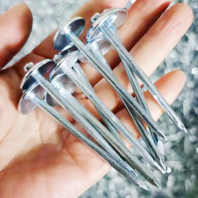 China Construction Straight Corrugated Nails Galvanized Umbrella Cap Nails Flat Surface Large Cap Umbrella Nail for sale