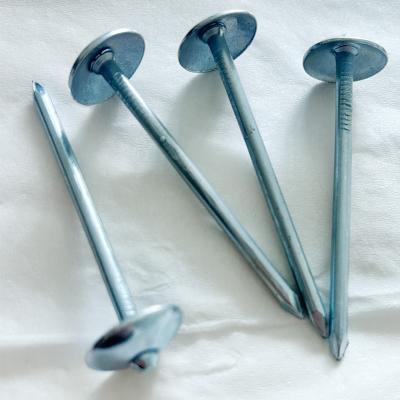 China Big Head Construction Umbrella Corrugated Nail for sale