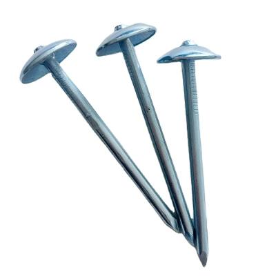 China Construction Galvanized Steel Concrete Nails Steel Nails Wood Nails In Stock for sale