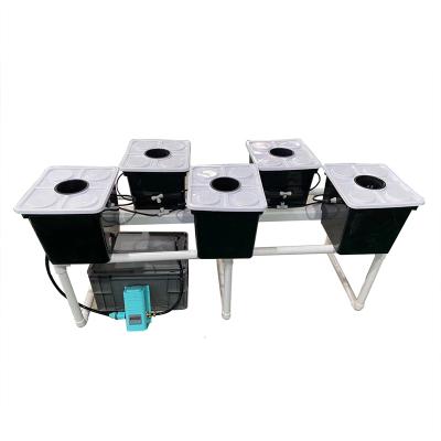 China Grows Equipment Wholesale GRO-DRO Smart Aeroponics Dutch Irrigation&Hydroponics Bucket System for sale