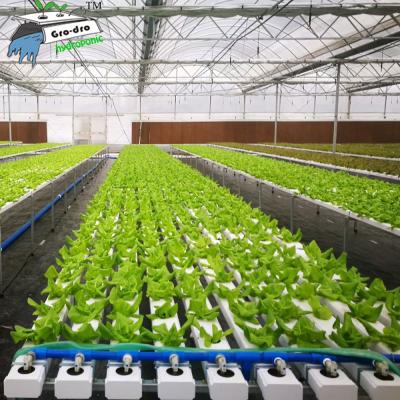 China Agriculture planting GRO-DRO 100*50 mm irrigation&hydroponics equipment grow pvc pipe hydroponic nft channel for sale