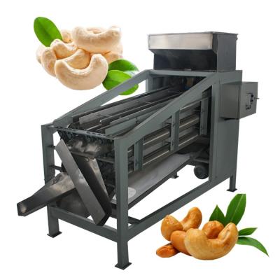 China Other Nut Processing Equipment Factory Wholesale Price Cashew Nuts Sorting Nuts Grader Sorter Separator Machine for sale