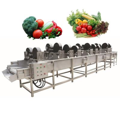 China Potato Drier Blueberry Fruit and Vegetable Cleaner Washing Machine Dewatering Machine Fruit and Vegetable Dehydrating Drier Machine for sale