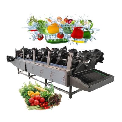 China Fruit and Vegetable Stripper Washing Machine Blower Fan Fruit and Vegetable Moringa Leaf Food Vegetable Industrial Drying Machine for sale