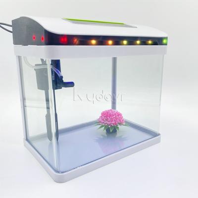 China Agriculture Eco-Friendly Led Glass Aquariums Lights Multi Size Glass Fish Bowls Aquarium Garden Decor for sale