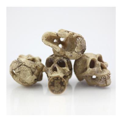 China Artificial Creative Aquatic Caves Hidden Hut Aquarium Skull Ornament Resin Decorative Skull Decor for sale