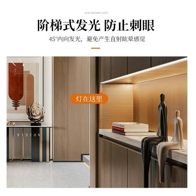 China Armário de cozinha LED banda elegante 200CM LED superfície montável armário prateleira acento iluminação à venda