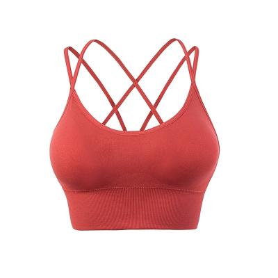 China Antibacterial crossover yoga tube top padded ladies plus size gym fitness medium support xxl women sexy sports bra for sale