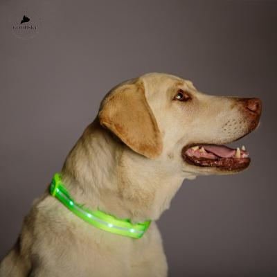 China GOODSKY Quick Release LED Lights Dog Pets Collars Polyester Adjustable Glow In The Night Dog Cat LED Collar for sale