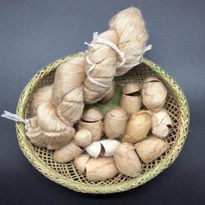 China Anti-bacteria China 100% spun silk yarn tussah silk yarn factory price of China pure tussah silk fabric for sale