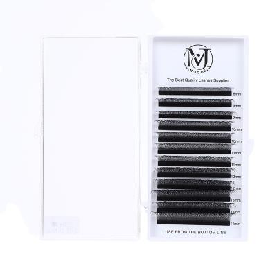 China Full Volume Private Label Wholesale Price W-3D Eyelash Extension Hot Sale Individual Eyelash Extension for sale