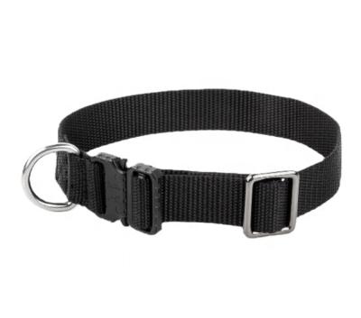 China Quick Version 1 Inch S M L XL Adjust Waist Webbing Fabric Nylon Heavy Duty Tactical Outdoor Dog Collar To Large Pets for sale