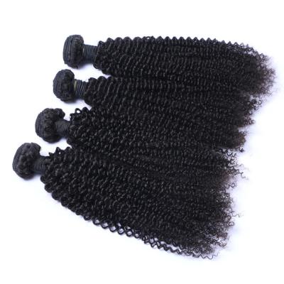 China Wholesale Curly Brazilian Afro Curly Curly Hair Extension Color Curly Hair Natural Curly Hair Weave for sale