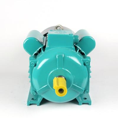 China Totally Enclosed Motor YC-80L-2 Series Single Phase 0.75KW 1HP 220v Asynchronous Electric Motor for sale