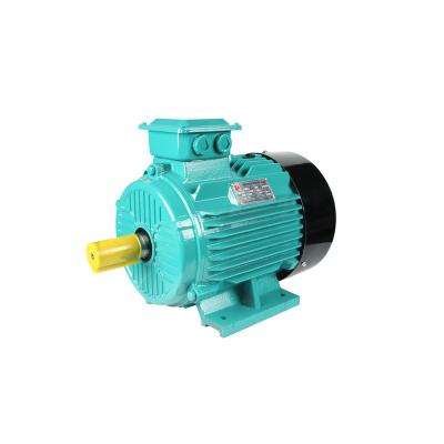 China Serices Y2 Induction Electric Motor 220V Universal Induction Motor Totally Enclosed for sale