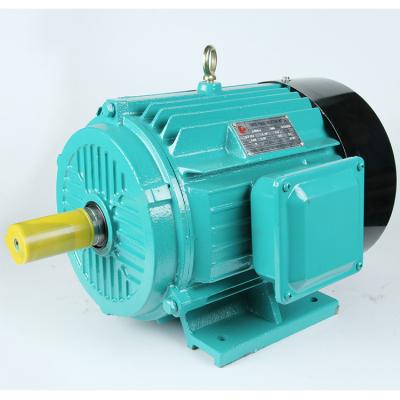 China Totally Enclosed Large Torque Three Phase AC Motor 380V/50Hz 2940rpm 20hp 15kw for sale