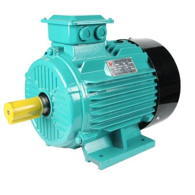 China 2022New YE2-200L1-6 Series 18.5KW 25hp Electric Motor 6P 1000RPM Three Phase Totally Sealed Energy Saving Model for sale