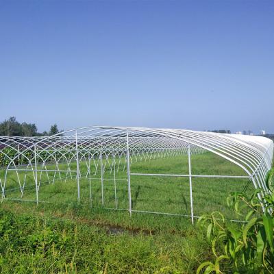 China Pipeline for agriculture use polytunnel greenhouse for sale