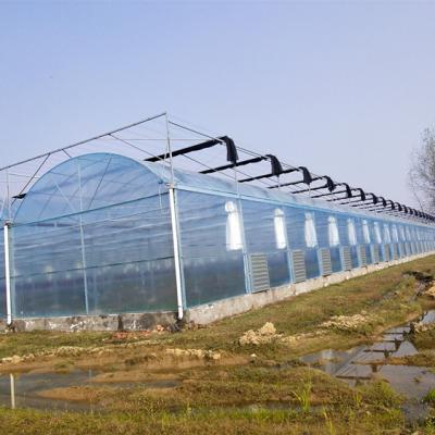 China Lifetime Long Use Insulated Film Greenhouse Greenhouse for sale