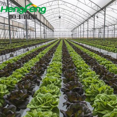 China Long Lifespan And Beautiful Exterior Commercial Agricultural Glass Greenhouse For Flower / Vegetable for sale