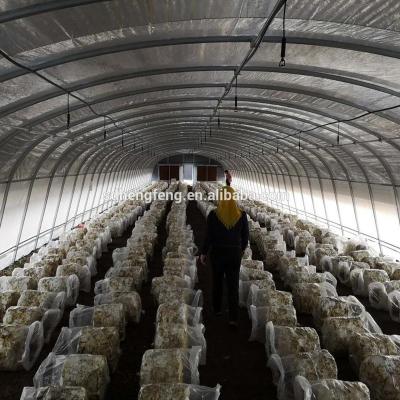 China Long Service Life And Beautiful Exterior Grow Tents Mushroom Tunnel Agricultural Greenhouse for sale