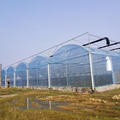 China Plastic agriculture use greenhouse 200 micron pipeline, 200 micron film be used in multispan film greenhouse for sale