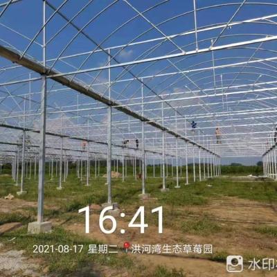 China Long service use life greenhouse shading system multispan greenhouse inside set shading system for sale