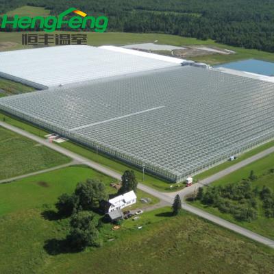 China Pipeline for agriculture use cultivation on greenhouse for sale