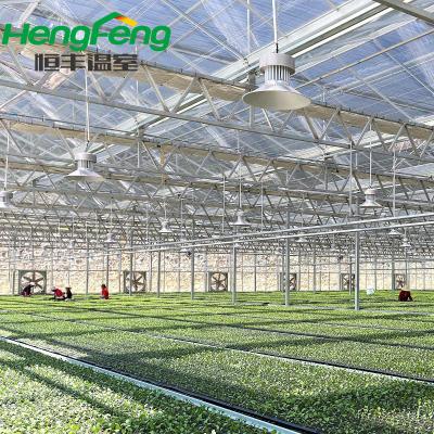 China Pipeline for agriculture use prefab glass greenhouse multispan glass greenhouse for sale for sale