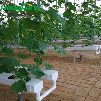 China Long Service Life Multi Soilless Cultivation Span Hydroponics Greenhouse Polytunnels nft Glass Channel for sale