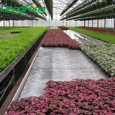 China Stable Structure Easily Assembled Main Greenhouse Hydroponic Hydroponic Greenhouse For Hydroponic Organic Vegetables for sale