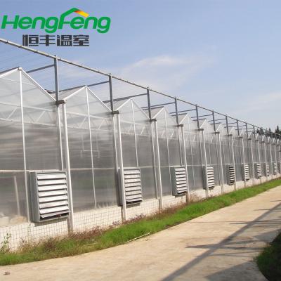 China Mainly for fram use polycarbonate sheet greenhouse with venlo multi span PC structure for agriculture use for sale