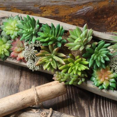 China Natual Artificial Succulents Plants Mini Real Touch DIY Unpotted Flower Succulents Picks Bulk Stems For Office Decor for sale