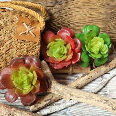 China Natural Beautiful Touch Artificial Echeveria To Enhance Your Spaces For Home Decoration for sale