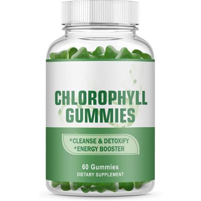 China Immune Support & Health Care Supplement Wholesale Detox Liver Digestion Factory Private Label Improved Natural Chlorophyll Gummies for sale