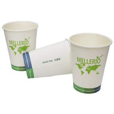 China Disposable Eco-Friendly Biodegradable Plastic Free Paper Coffee Cup With Lids for sale