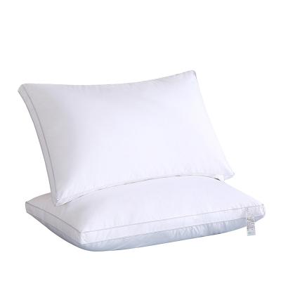 China 2022 Antistatic Top Quality White Cotton Bedroom Pillow Insert 48x74 for sale