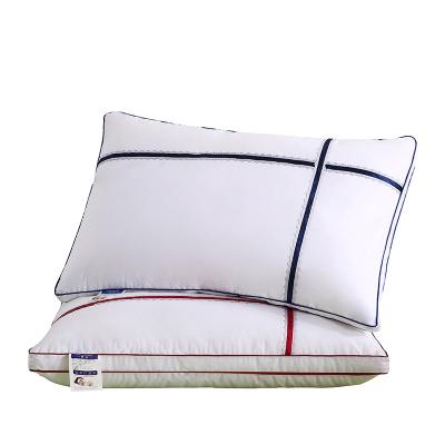 China Wholesale Customized Cotton High Quality Modern Style Embroidered Pillow Core Anti-Static For Bedroom And Living Room for sale