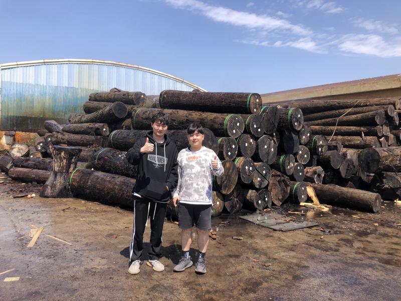 Verified China supplier - Dongguan Lingfeng Wood Industry Co., Ltd.