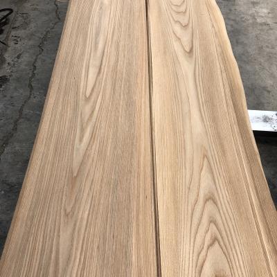 China Factory A/AA Elm Wood Veneers Natural Veneer 0.45mm Wood Elm Veneers Straight/Mountain Grain Sheets for sale